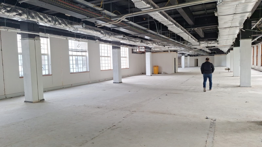 To Let commercial Property for Rent in Newlands Western Cape